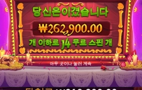 온라인슬롯 후기