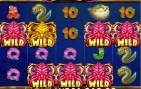 프라그마틱 크라켄2 911배 처음으로 먹어봅니다 ㅅㅅ