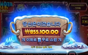 맘모스 골드 대박  ㅅ ㅅ