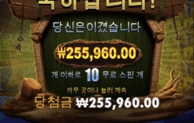 아프리칸 엘리펀트 고맙고 ㅎㅎ