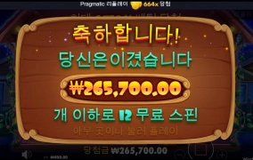 도그 하우스 후기