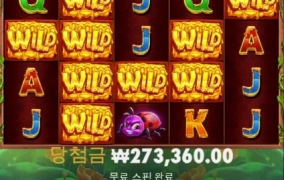 프라그마틱 3버징와일드 꿀빨고 갑니다