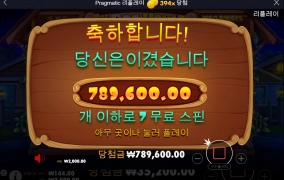 도그하우스 후기