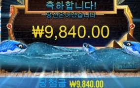 피쉬아이 진짜 눈깔을 확! 마!!