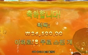 쥬시 드럽게도 안주네