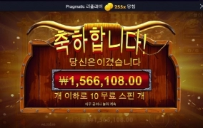 굿모닝 그자체네요 ㅎㅎ