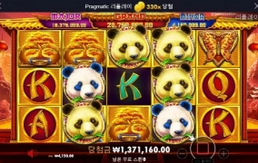 판다2 재미지게 놀다 가요 330배 나이스하고