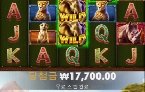 아프리카코끼리는 못먹구 사는거냐