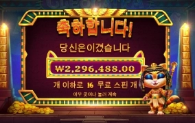 고양이 한마리 키워야하나 ㅎㅎ