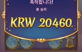 플레이엔고 문프리세스 100