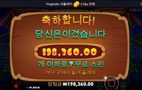 도그하우스 후기