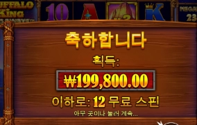 오전 버팔로 ~ 시작이 좋네