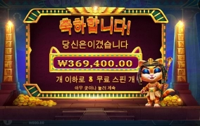 요즘 다시 자주하는 캐트라 후기