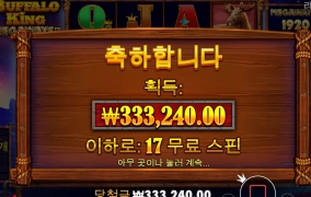 아침엔 버팔로가 답인가??