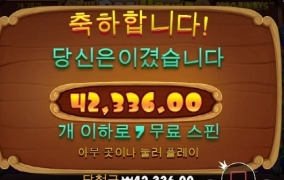 가볍게 강아지하우스