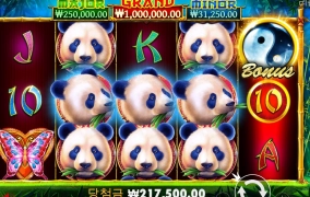 판다가 한껀해주는 구나 ~ !!