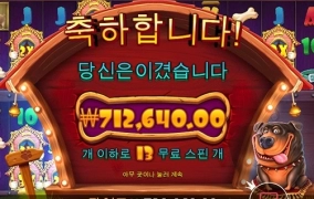 오랜만에 강아지 산책