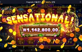 진정한 축제로구나