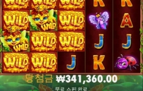 3버징 와일드 오늘도 개꿀 빨았습니다 ㅎㅎ