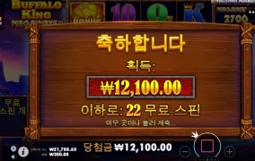 버팔로 진짜 너무 한다 ㅅㅂ