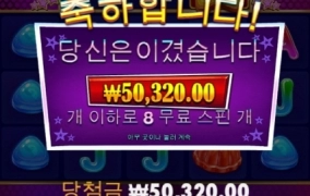 캔디스타 오지네 진짜