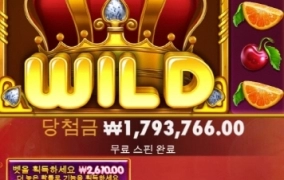 쥬시후르츠 824배 대박터졌습니다 ㅎㅎㅎ