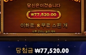 사무메가 ㅅㅂ 개시끼덜 너무하네