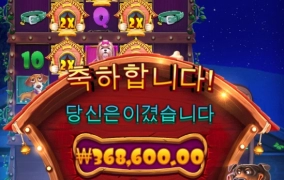 점심먹고 강아지 산책