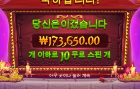 프라그마틱 후기