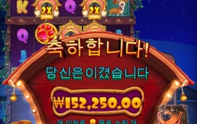 야밤에 강아지 산책