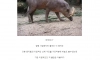좆도 아닌거에 인생 몰빵한 동물