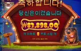 도그하우스 멀티홀드 나쁜개는 없다고 배웠는데 ㅠㅠ