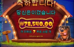 도그하우스 멀티홀드 재미있네요 ㅋ