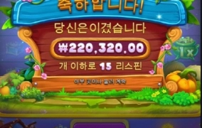 반페스티발 슬롯 소소하게