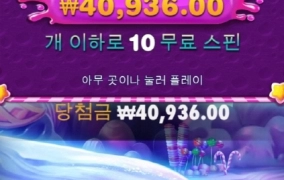 스위트보난자 다이스 후기