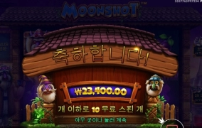 문샷 사대 안맞네