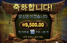 아프리칸 코끼리 어이가 없네