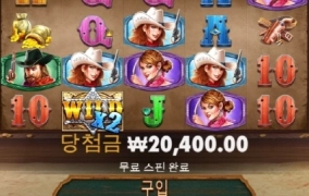 와일드웨스트골드