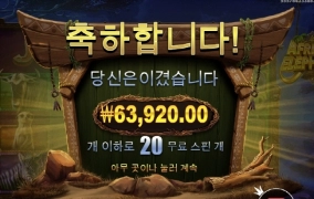 아프리칸 코끼리 배당 오지게 안주네