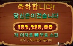 강아지 아침 산책 시작