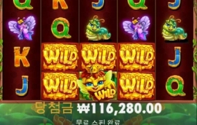 3버징 와일드 겁나 안줌