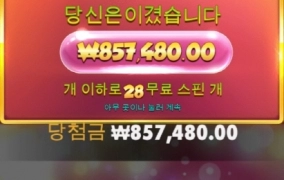 엑스트라쥬시 메가웨이 겜블 맥스