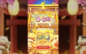 피지소프트 럭키네코는 사랑이라고 배웠는데 ㅜㅜ