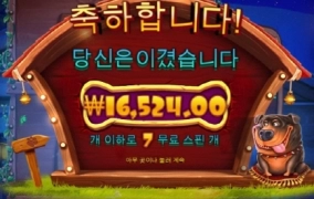 도그하우스 멀티홀드 ㅠㅠ