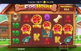 도그하우스 보너스 5발