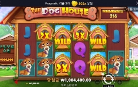 개집 502배  개달달하게 먹었습니다