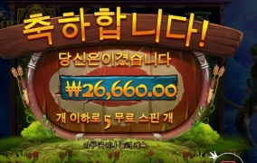 파이어아쳐 배당 미쳤네 진짜