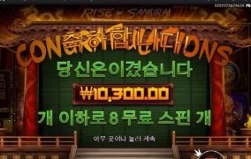 사무라이 베당 미쳤네