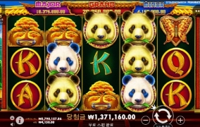 팬더는 사랑입니다 ㅅㅅ