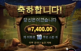 프라그마틱 아프리칸 엘리펀트 ㅅㅂ